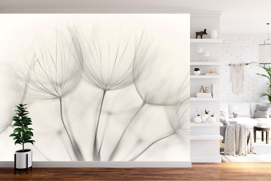 Vlies fotobehang Dandelions zwart en wit