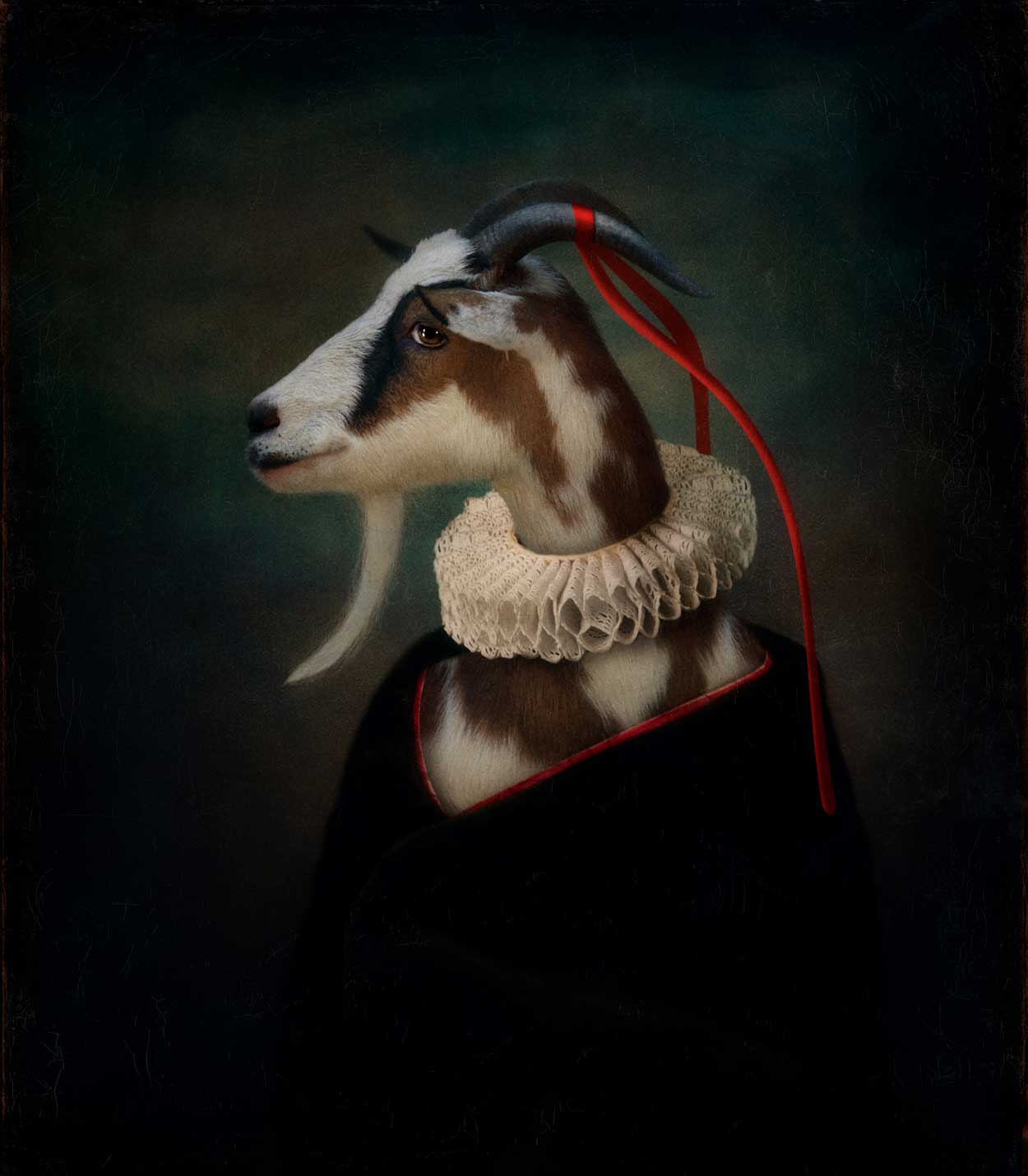 Vlies fotobehang Classy goat