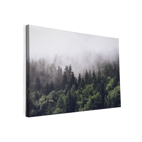 Image of Foto op canvas Bos in de mist CV_294267383