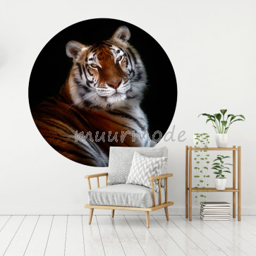 Behangcirkel Bengaalse tijger