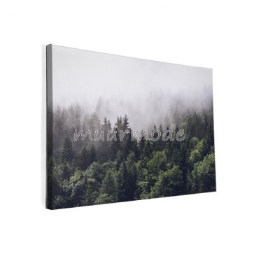 Foto op canvas Bos in de mist