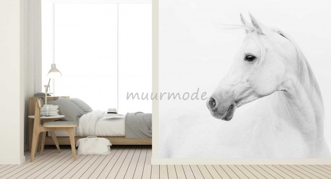 fotobehang White horse | Muurmode.nl