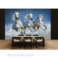 Fotobehang Arabian Horses