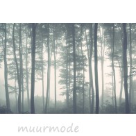 Vlies fotobehang Bomen in mistig bos