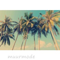 Fotobehang Tropische palmbomen