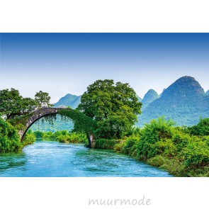 Fotobehang Bridge crosses a River in China