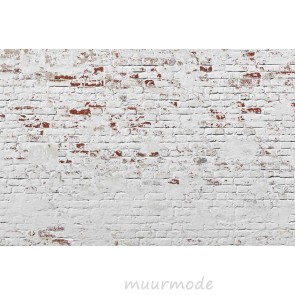 Vlies fotobehang Witte bakstenen muur