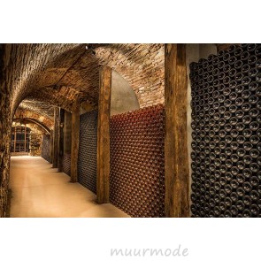 Vlies fotobehang Ondergrondse wijnkelder