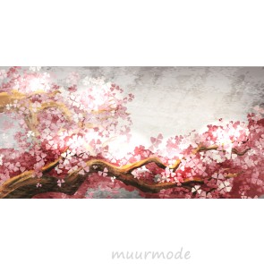 Vlies fotobehang Sakura blossom