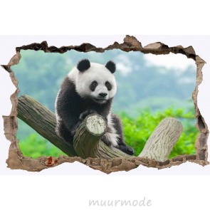 3D Muursticker Panda