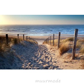 Vlies fotobehang Strand Noordzee