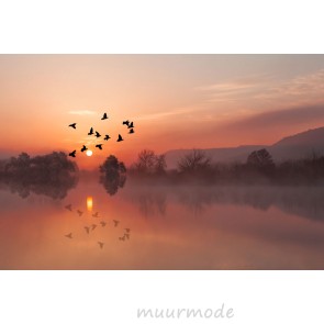 Vlies fotobehang Vliegende vogels met zonsondergang