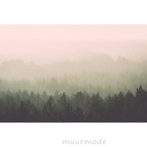 Vlies fotobehang Uitzicht op mistig bos Vintage