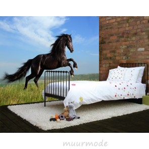 Vlies fotobehang Zwart paard
