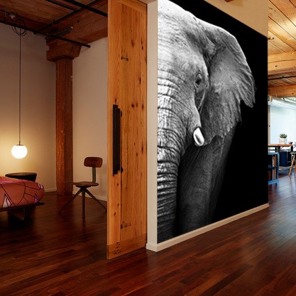 Wanddecoratie olifant