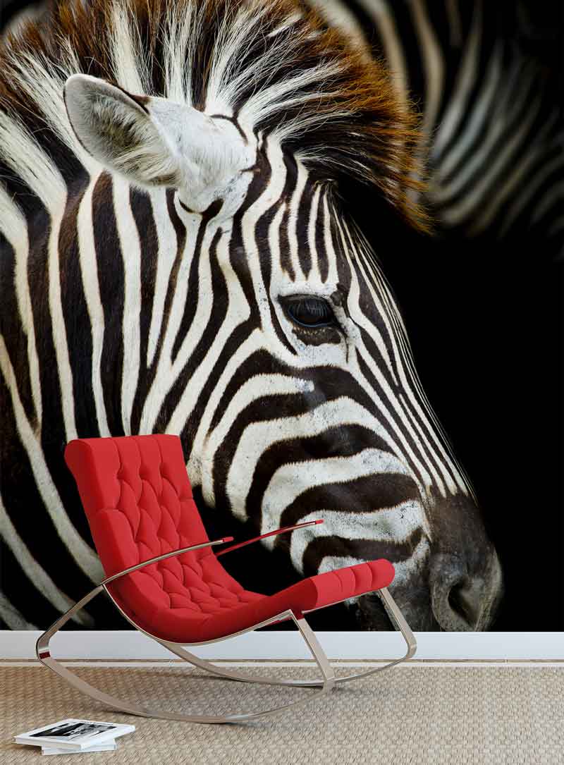 Vlies fotobehang Zebra